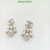 Elegant crystal chandelier earrings on white