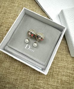 Dior earrings in branded box on textured surface